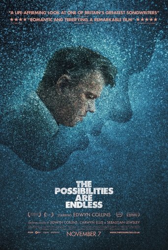 Watch The Possibilities Are Endless 2014 poster