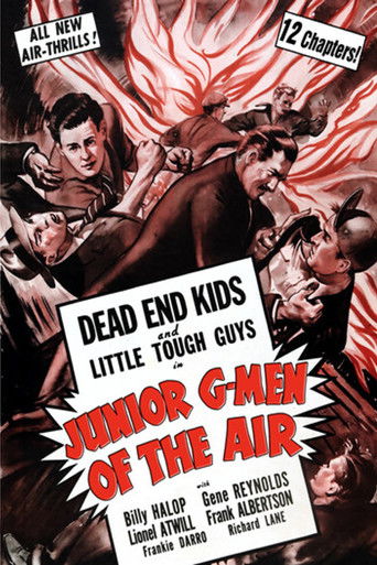 Watch Junior G-Men of the Air 1942 poster