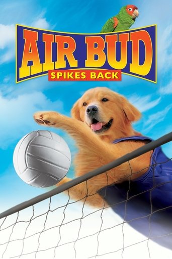 Watch Air Bud: Spikes Back 2003 poster