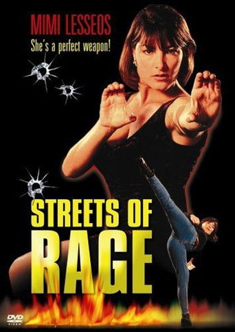 Watch Streets of Rage 1994 poster