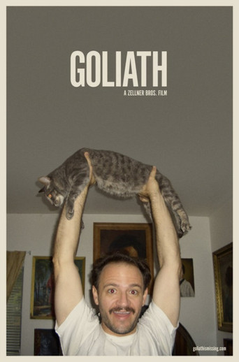 Watch Goliath 2008 poster