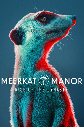 Watch Meerkat Manor: Rise of the Dynasty 2021 poster