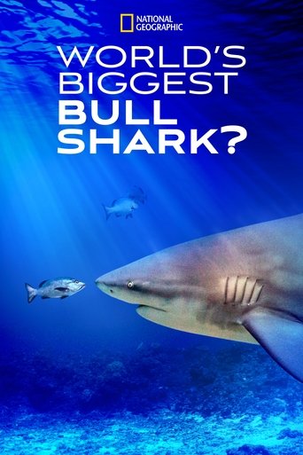 Watch World's Biggest Bull Shark? 2021 poster
