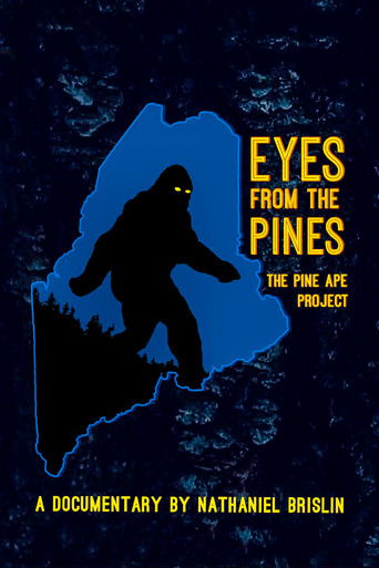 Watch Eyes from the Pines 2021 poster