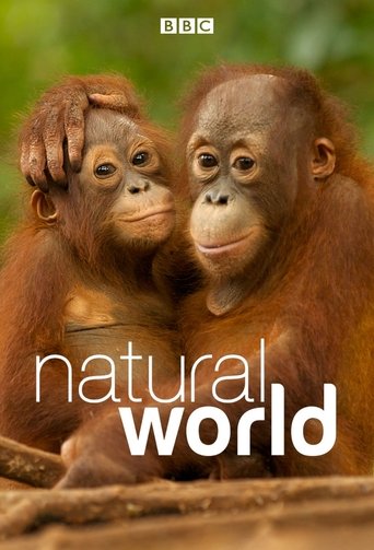 Watch Natural World 1983 poster