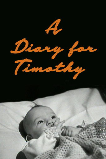 Watch A Diary for Timothy 1945 poster