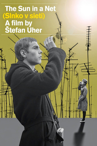 Watch The Sun in a Net 1963 poster