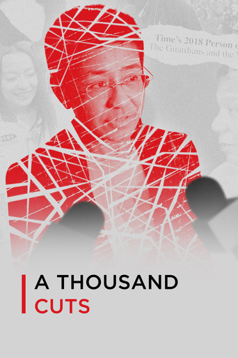 Watch A Thousand Cuts 2020 poster