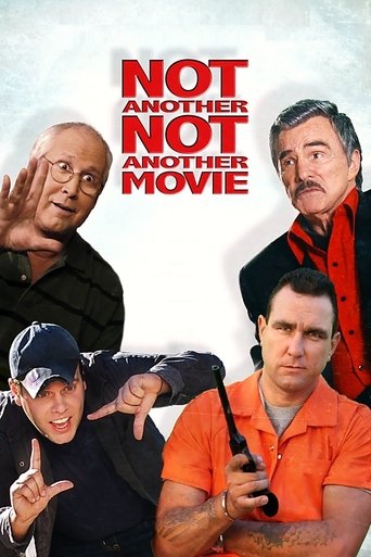 Watch Not Another Not Another Movie 2011 poster