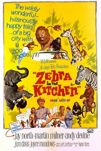 Watch Zebra in the Kitchen 1965 poster
