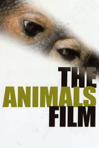 Watch The Animals Film 1981 poster
