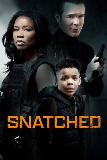 Watch Snatched 2024 poster