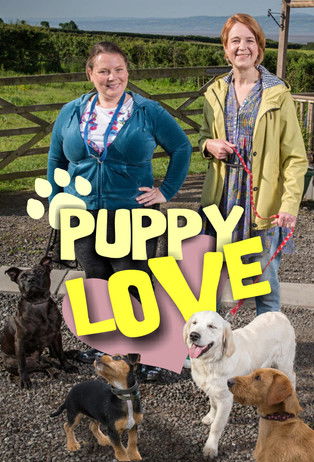 Watch Puppy Love 2014 poster