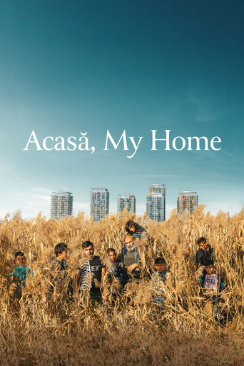 Watch Acasă, My Home 2020 poster
