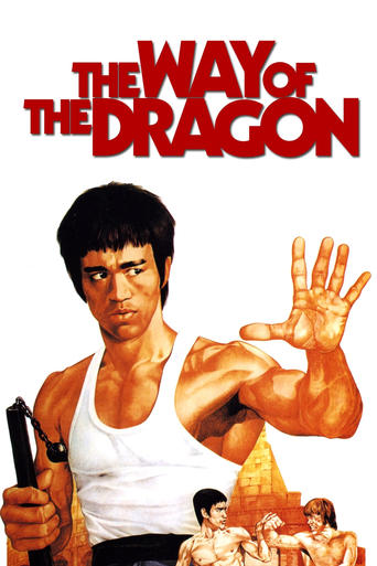 Watch The Way of the Dragon 1972 poster