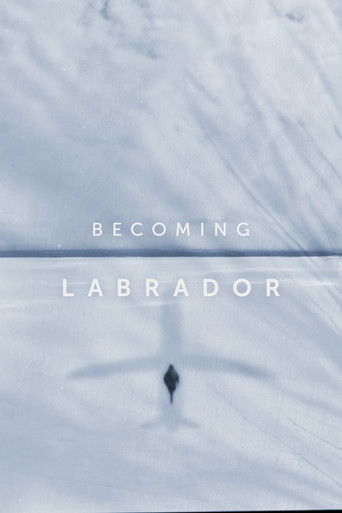 Watch Becoming Labrador 2019 poster