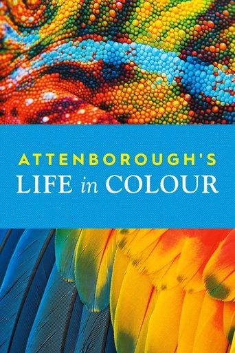 Watch Attenborough's Life in Colour 2021 poster