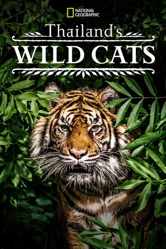Watch Thailand's Wild Cats 2021 poster