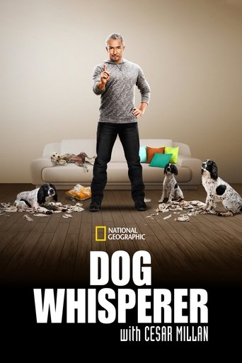 Watch Dog Whisperer 2004 poster
