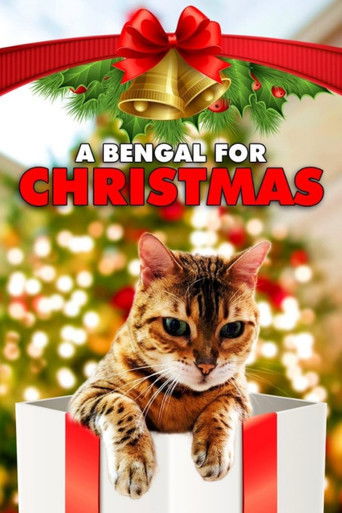 Watch A Bengal for Christmas 2023 poster