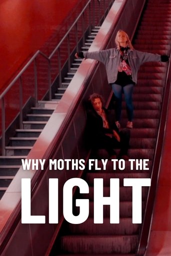 Watch Why Moths Fly to the Light? 2020 poster