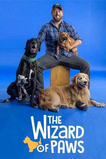 Watch The Wizard of Paws 2020 poster