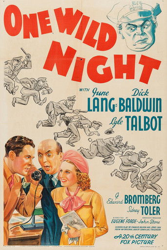Watch One Wild Night 1938 poster