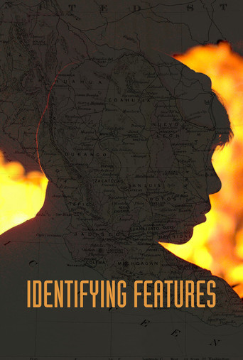 Watch Identifying Features 2020 poster