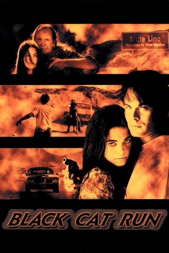 Watch Black Cat Run 1998 poster