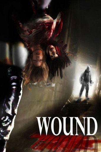 Watch Wound 2010 poster