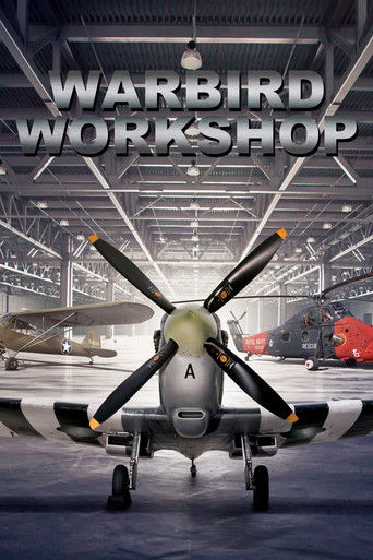 Watch Warbird Workshop 2020 poster