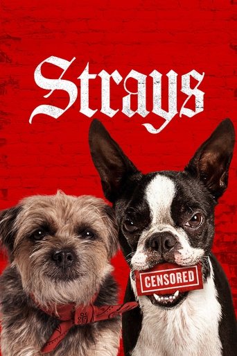 Watch Strays 2023 poster