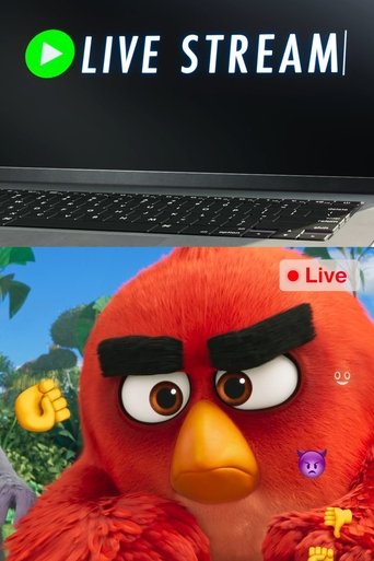 Watch Angry Birds: Live Stream 2019 poster