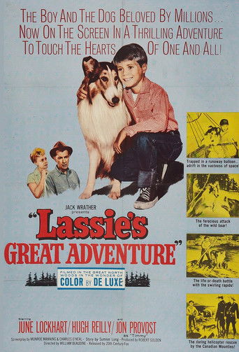 Watch Lassie's Great Adventure 1963 poster