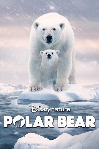 Watch Polar Bear 2022 poster