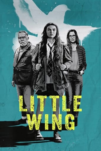 Watch Little Wing 2024 poster