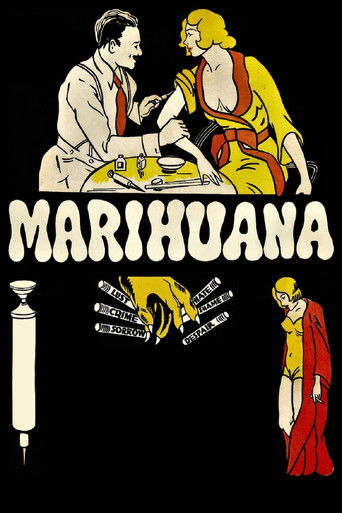 Watch Marihuana 1936 poster