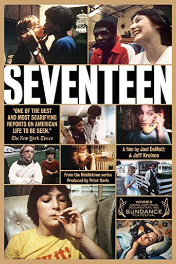 Watch Seventeen 1983 poster