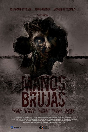 Watch Witch Hands 2023 poster