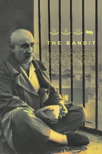 Watch The Bandit 1996 poster