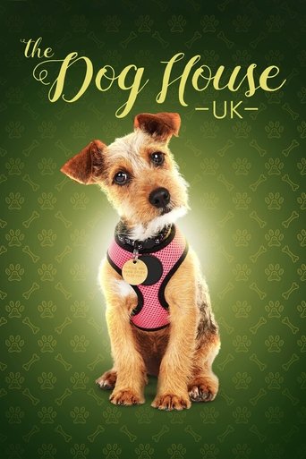 The Dog House 2019