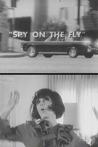 Watch Spy on the Fly 1967 poster
