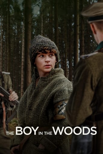 Watch The Boy in the Woods 2023 poster