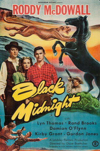 Watch Black Midnight 1949 poster