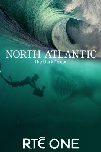 Watch North Atlantic: The Dark Ocean 2023 poster