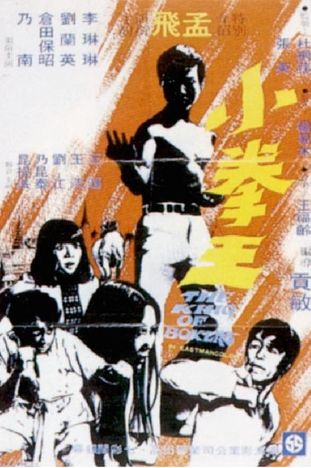 Watch The King of Boxers 1972 poster