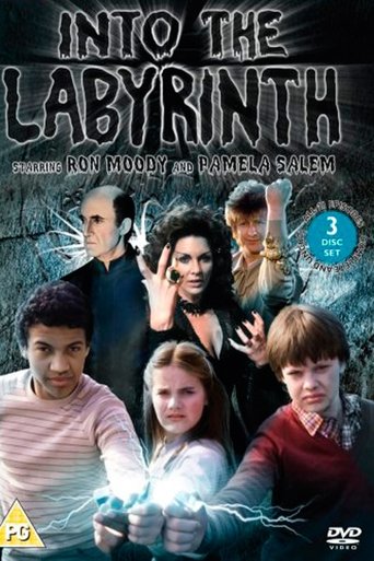 Watch Into the Labyrinth 1981 poster