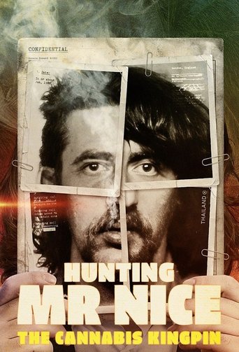 Watch Hunting Mr Nice: The Cannabis Kingpin 2024 poster