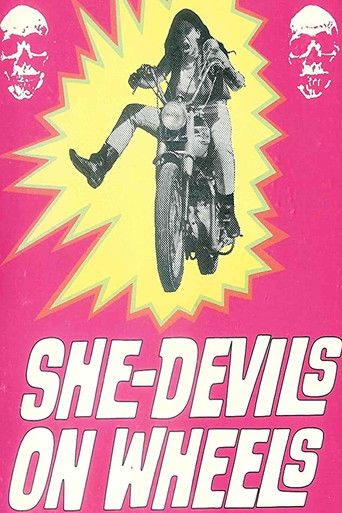 Watch She-Devils on Wheels 1968 poster