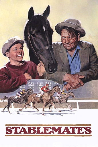 Watch Stablemates 1938 poster